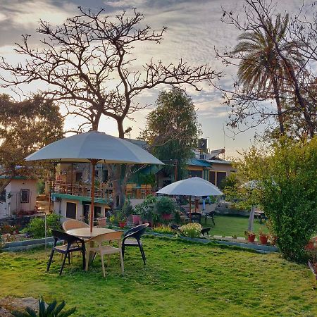 Forest Eco Lodge Mount Abu Dış mekan fotoğraf