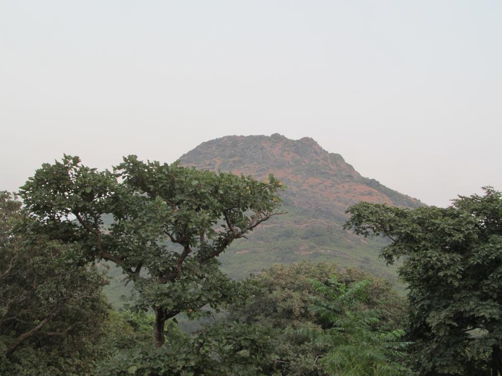 Forest Eco Lodge Mount Abu Dış mekan fotoğraf