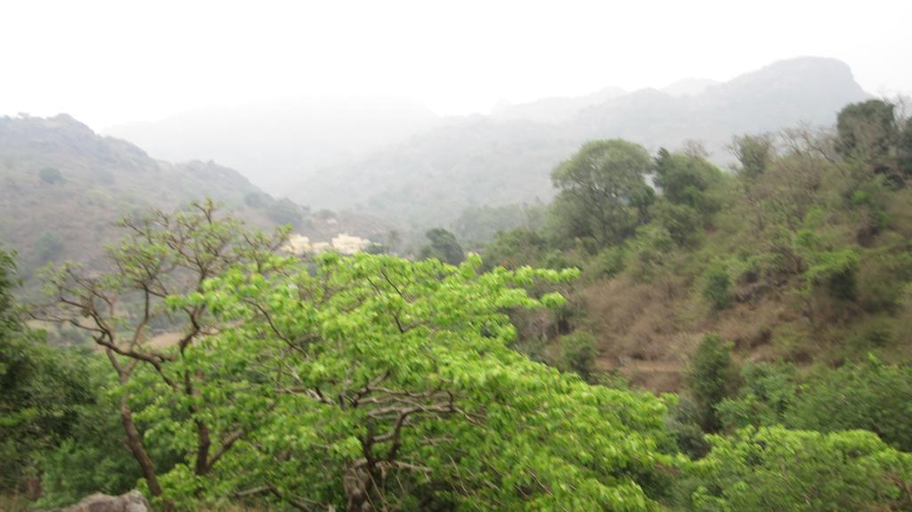 Forest Eco Lodge Mount Abu Dış mekan fotoğraf